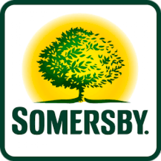Somersby чорниця 0.5 л